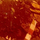 Image for article titled Forget Mars — Russia Sets Its Sights on Venus